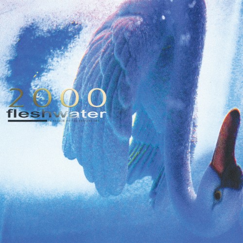Pochette de Jetpack par Fleshwater (single)