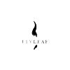 Flyleaf - small logo
