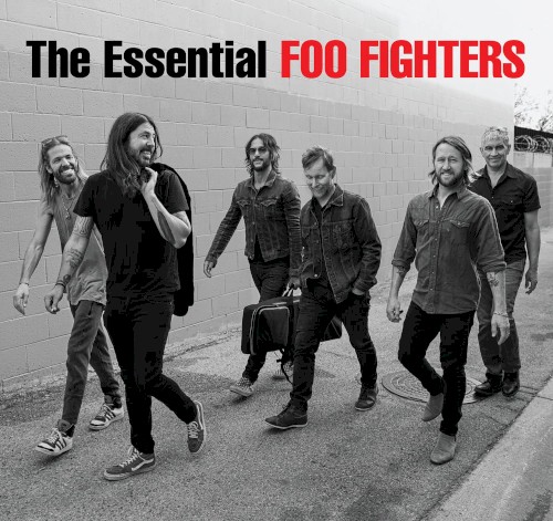 Pochette de The Essential Foo Fighters par Foo Fighters (album)