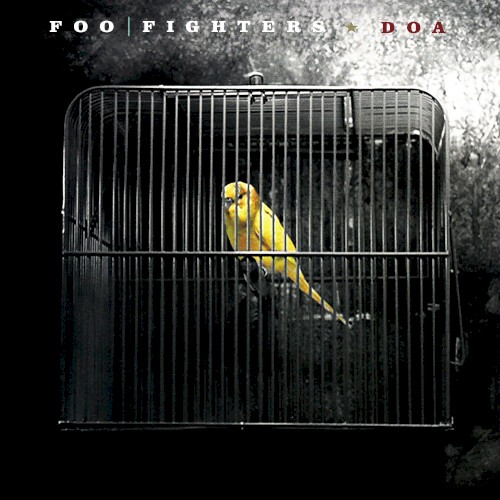 Portada del sencillo DOA de Foo Fighters
