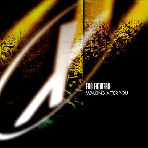 foo-fighters_walking-after-you_single