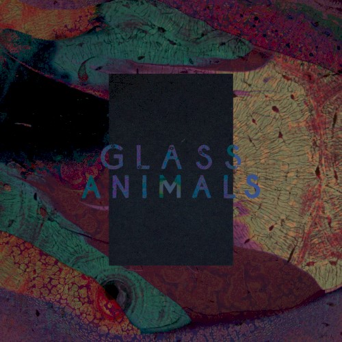 Cover-Artwork für die Single Black Mambo / Exxus von Glass Animals