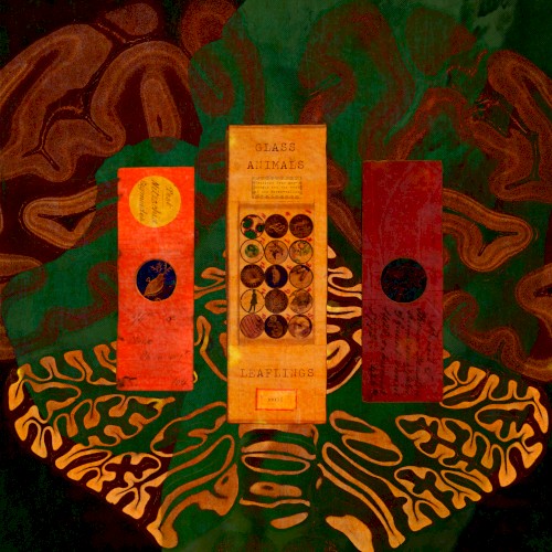 Glass Animals 的 Leaflings EP封面