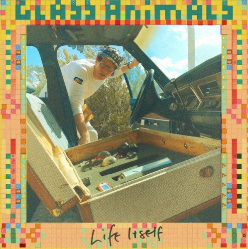 Portada del sencillo Life Itself de Glass Animals