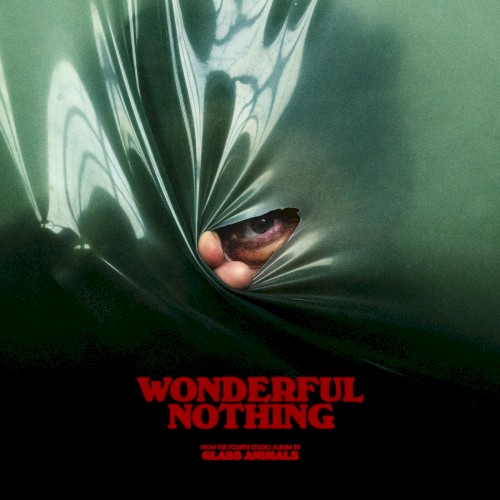 Wonderful Nothing by Glass Animals single cover art