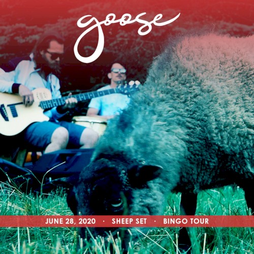 Pochette de 2020-06-28: Sheep Set par Goose (album)