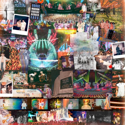 Pochette de Live at Madison Square Garden par Goose (album)
