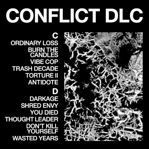 Pochette de CONFLICT DLC par Health (album)