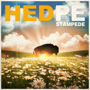 hed-pe_11th_album
