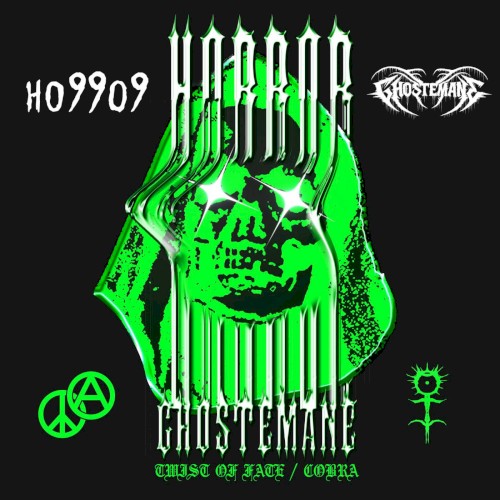 Pochette de Twist of Fate/ Cobra par Ho99o9 (single)