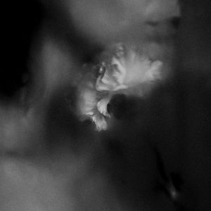 holding-absence_1st_album