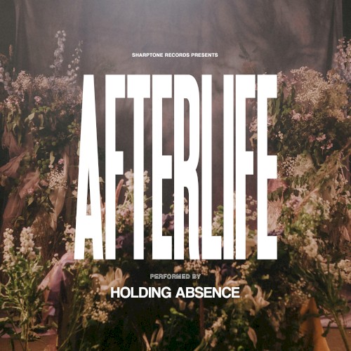 Pochette de Afterlife par Holding Absence (single)