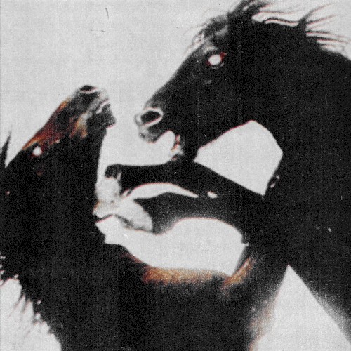 Give Me a Show by Holywatr single cover art