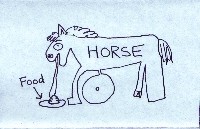 Cover-Artwork für die EP Food von Horse the Band