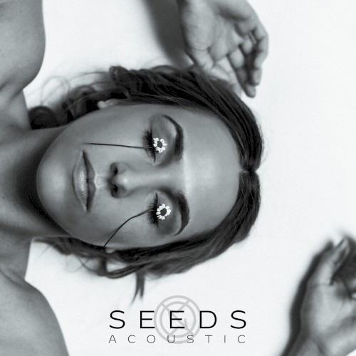 Portada del sencillo Seeds (Acoustic) de Icon for Hire