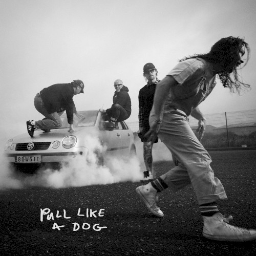 The Scratch 的 Pull Like a Dog 專輯 封面