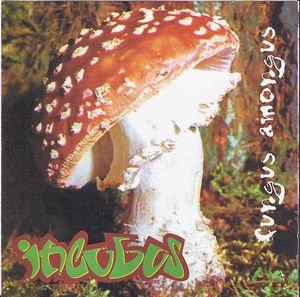 incubus_1st_album