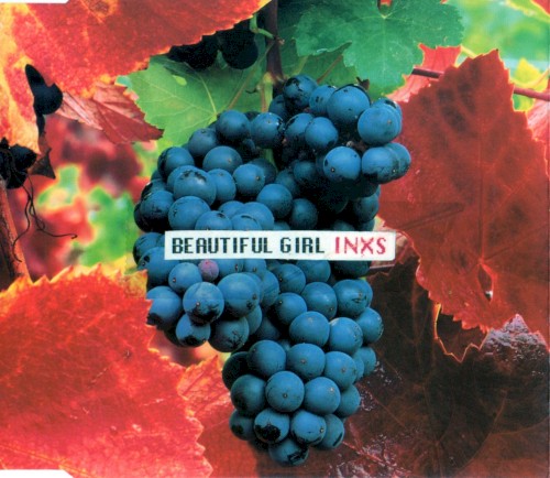 INXS 的 Beautiful Girl 单曲封面