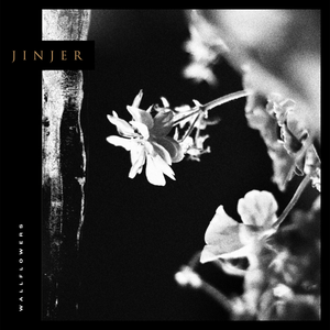 jinjer_4th_album