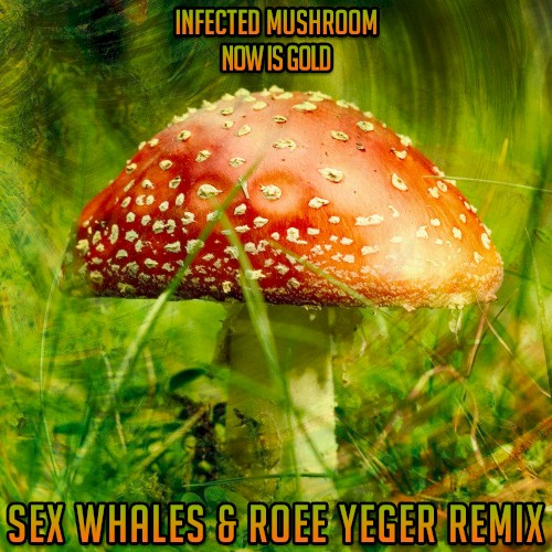 Now Is Gold (Sex Whales & Roee Yeger remix) by Kelsy Karter and The Heroines single cover art