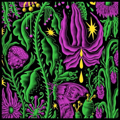 Live in Tilburg ’25 by King Gizzard & the Lizard Wizard album cover art