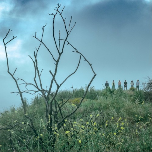 Cover-Artwork für die Single Ice V von King Gizzard & the Lizard Wizard