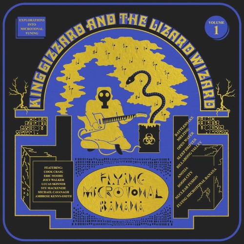 King Gizzard & the Lizard Wizard 的 Nuclear Fusion 单曲封面