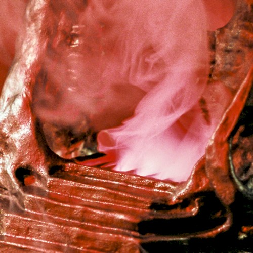 Portada del sencillo Planet B de King Gizzard & the Lizard Wizard
