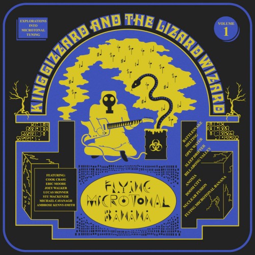 King Gizzard & the Lizard Wizard 的 Rattlesnake 单曲封面