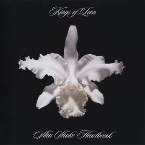 kings-of-leon_2nd_album