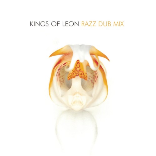 Pochette de Razz par Kings of Leon (single)