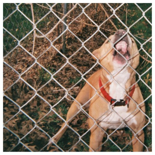 Cover-Artwork für die EP Pop Culture von Knocked Loose