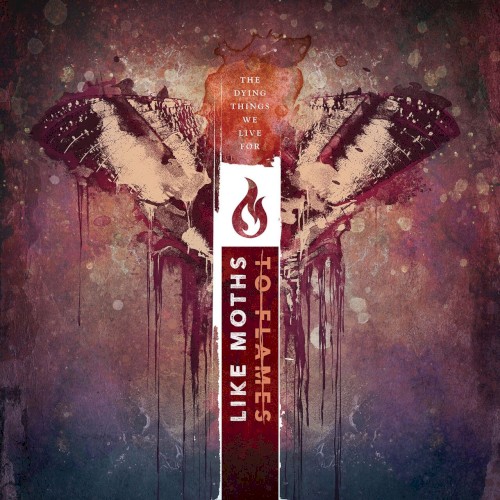 like-moths-to-flames_3rd_album