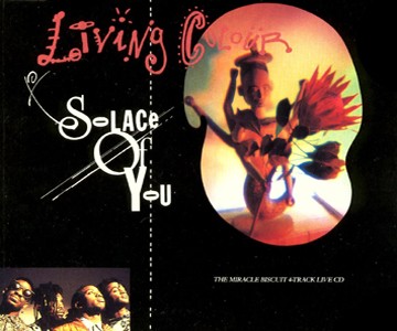 Pochette de Solace of You par Living Colour (single)