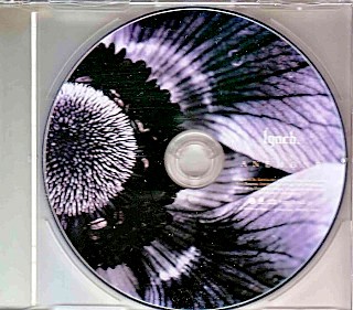 ANEMONE by lynch. single cover art