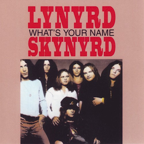 What's Your Name by Lynyrd Skynyrd album cover art