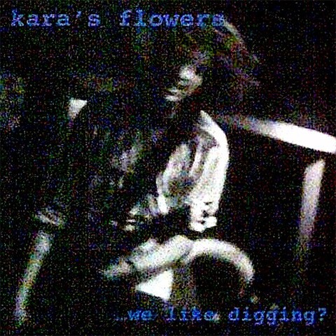 Pochette de …We Like Digging? par Maroon 5 (album)