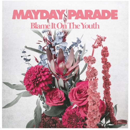Mayday Parade 的 Blame It on the Youth 单曲封面