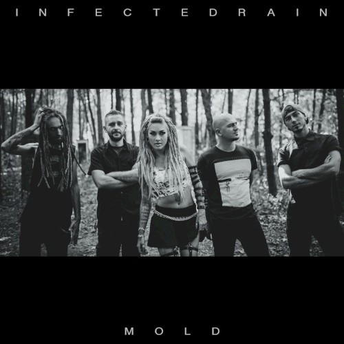 Pochette de Mold par Infected Rain (single)