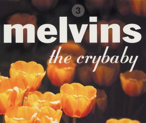melvins_12th_album