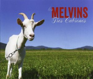 melvins_23rd_album