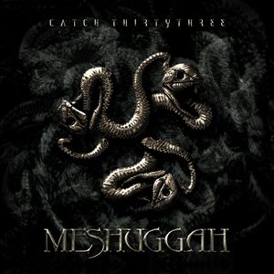 meshuggah_5th_album