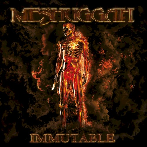 Pochette de Light the Shortening Fuse par Meshuggah (single)