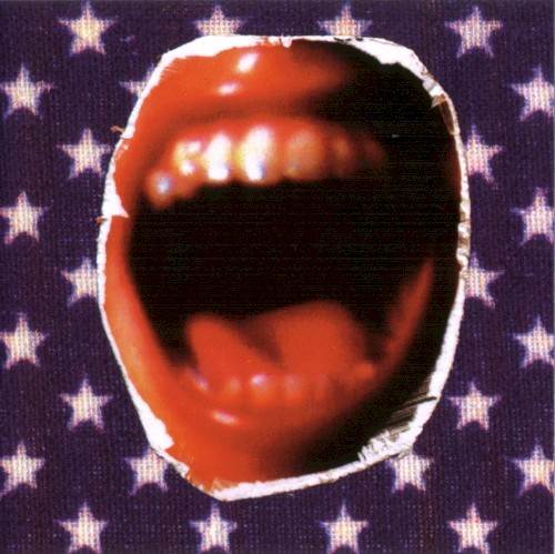 Pochette de Rantology par Ministry (album)