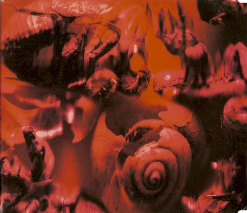 Cover-Artwork für die Single The Fall / Reload von Ministry