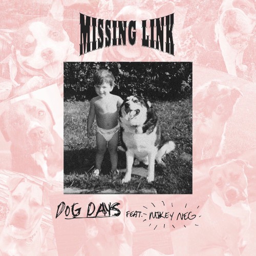 Cover-Artwork für die Single Dog Days von Missing Link
