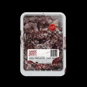 napalm-death_16th_album