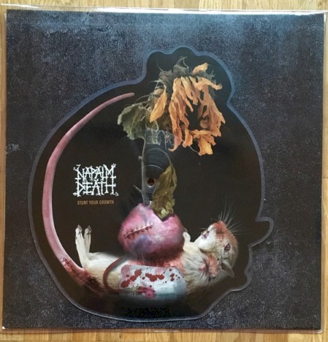 napalm-death_stunt-your-growth_ep