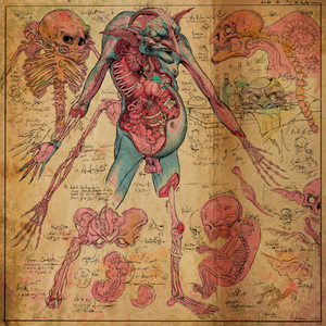 nekrogoblikon_5th_album