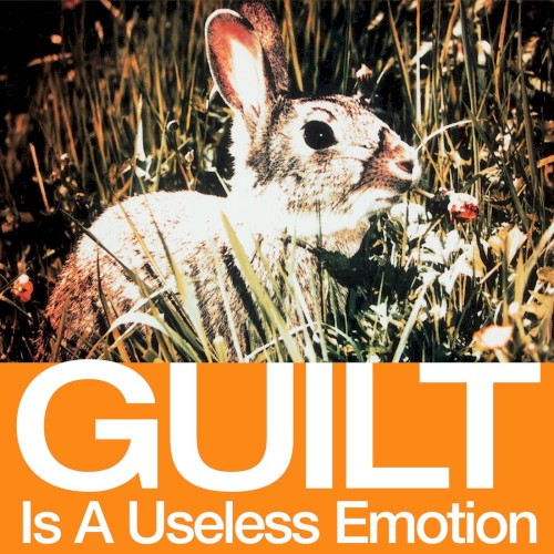 Guilt Is a Useless Emotion (DMD Consumer version) by New Order single cover art